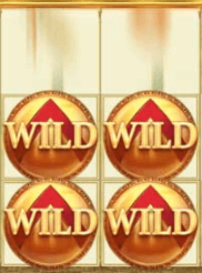sticky wilds